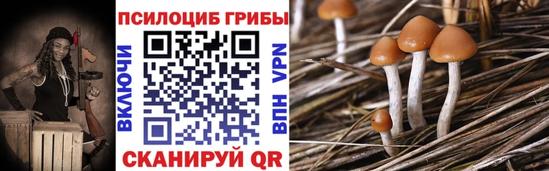 Купить где  Благовещенск  Галлюциногенные грибы Magic Shrooms 